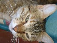 �������, ��� ����� � Iberotel Club Fanara - �������, ����������