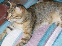 �������, ��� ����� � Iberotel Club Fanara - �������, ����������