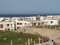 ��� �� ������ 1173