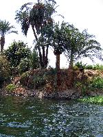 ������, ���, ���� � "������ �������"