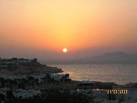 ������� � Domina