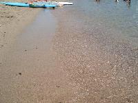 ���� � ����