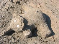 �������� ������