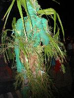 ������� �������