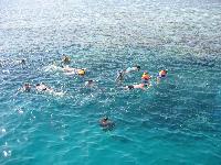 ���������� ����