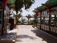 ������ �� ����