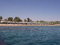 ��� ����� � �������