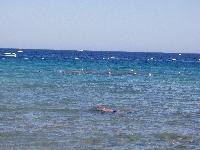 ��� ������