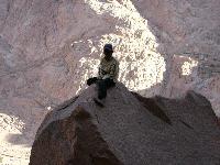 ���� ���