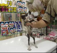 ����� ������