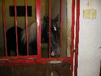 ���� #05 � �������� ����� � CONCORDE.JPG