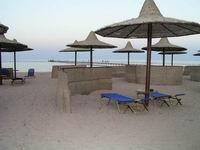 Magic Life 5* (������ ����) (������, ���� ��� ����)