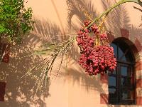 ����� �������