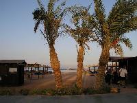 Magic Life 5* (������ ����) (������, ���� ��� ����)