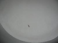 ������ � ������ ������