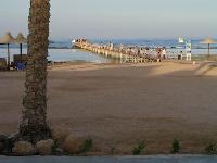 Magic Life 5* (������ ����) (������, ���� ��� ����)