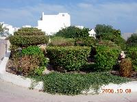 ��������� ������ ��������� �����������