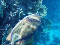 ��������� �����!