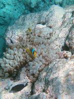 ���� � �����!