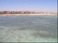 Magic Life 5* (������ ����) (������, ���� ��� ����)