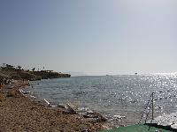 ���� �������