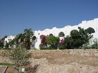 ������ 47