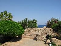 ������ ����� King