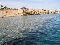 ��� �� Bahia Bar � ������������ �������