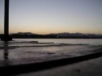 Magic Life 5* (������ ����) (������, ���� ��� ����)