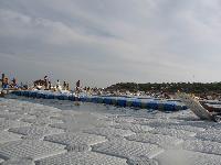 �� ����������� �������