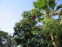 �������������� � �����