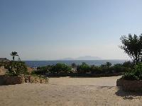 ��� �� ������ �����