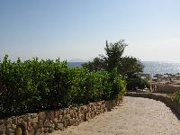 ������� � �����