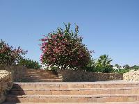 ����� � King