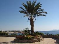 ���� � Domina