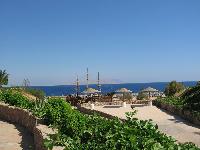 ����� � ����������� ������