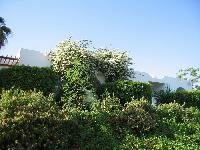 ���� �� �������� �����