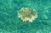 �� ����, ��� �� �����