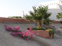 � �� ������ ������ ������� (�)