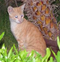 ���-�����