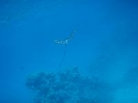 ��������� �����