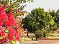 ������� �������