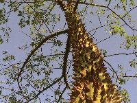 ����� ������������� ������