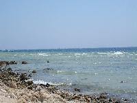 ����� ������