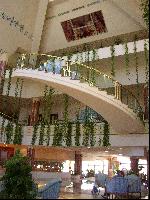 ���� ����� ����� ������