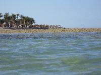 ����� ������