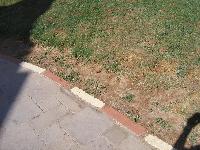 ���������� �������