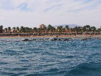 ���������� ��� �������� ������ ���������-������