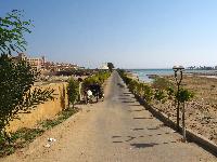 ������ �� ����