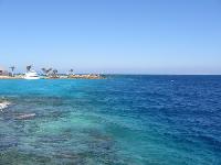 ���� �������